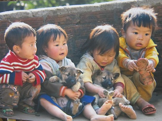 Hoạt động thiện nguyện 2